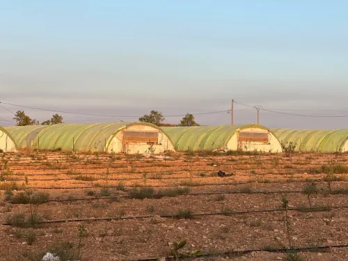 Vente Terrain Agricole Sidi Bel Abbès Tabla