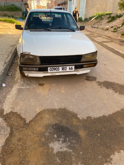Peugeot 505 1982 505
