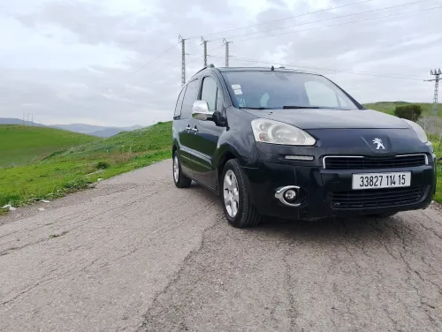 Peugeot Partner 2014 Tepee Allure 