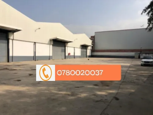 Location Hangar Blida Meftah
