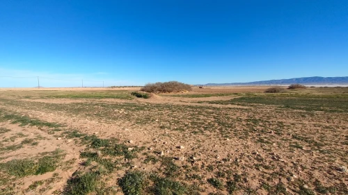 Vente Terrain Agricole Djelfa Had sahary