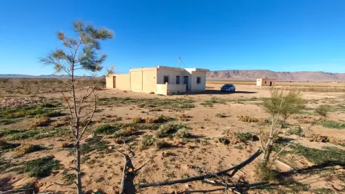 Vente Terrain Agricole Djelfa Had sahary