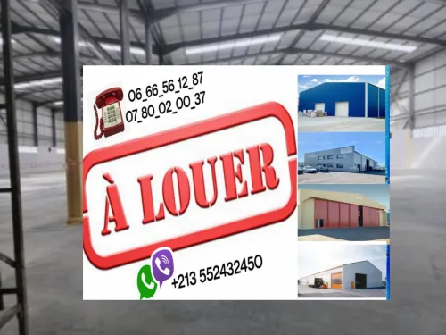 Location Hangar - Usine Khenchela El hamma