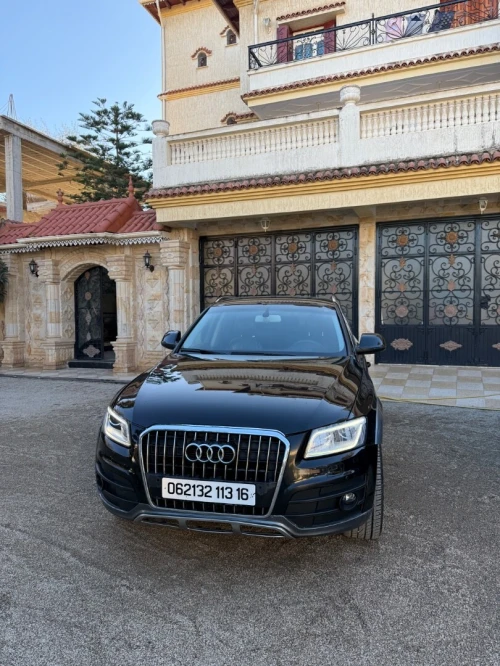 Audi Q5 2013 Offroad