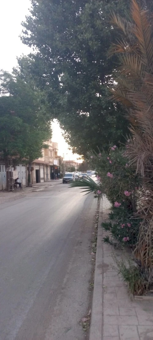 Vente Villa Oum El Bouaghi Oum el bouaghi
