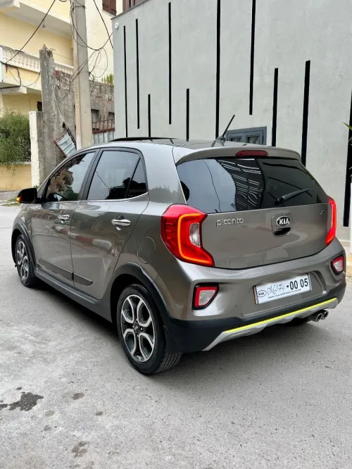 Kia Picanto 2019 Xline