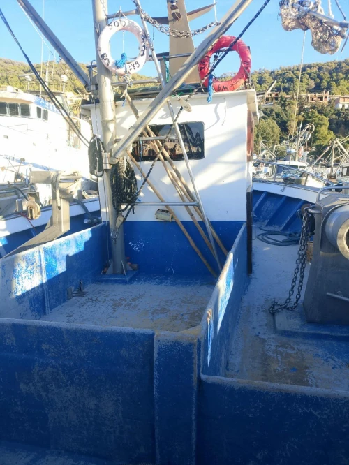 Sardinier