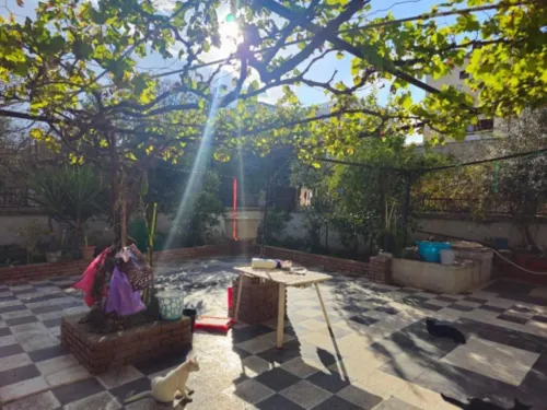 Vente Guelma Belkheir