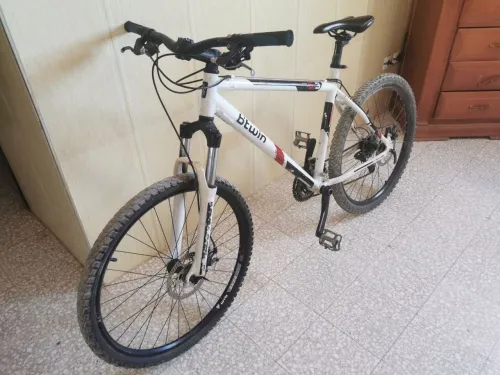   Bitwin Rochrider