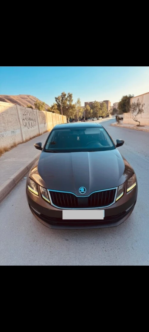 Skoda Octavia 2019 Clever
