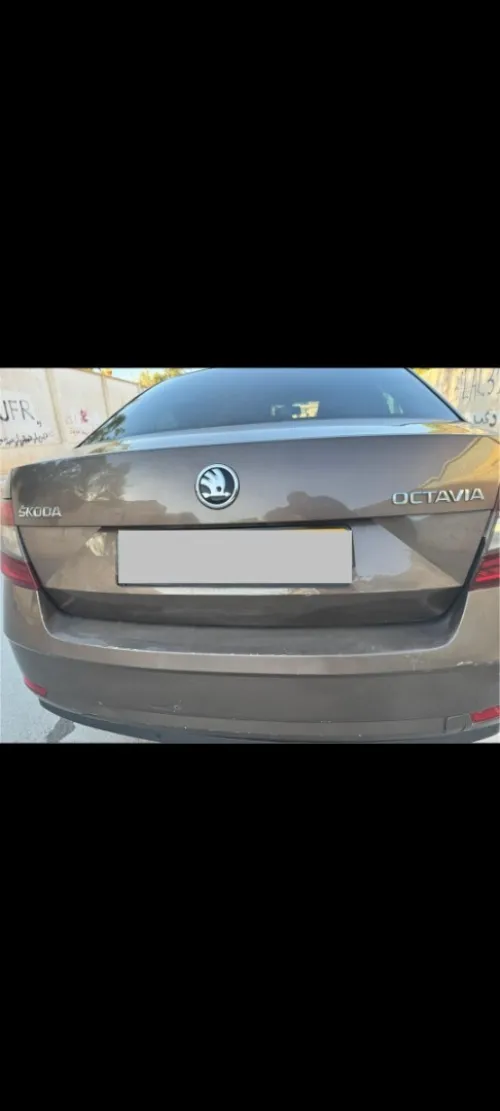 Skoda Octavia 2019 Clever