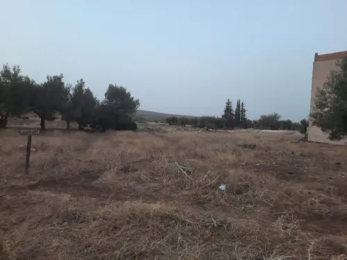 Vente Terrain Tlemcen Ain fezza