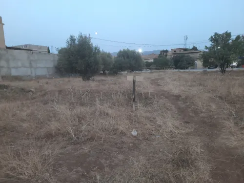 Vente Terrain Tlemcen Ain fezza