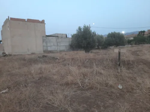 Vente Terrain Tlemcen Ain fezza