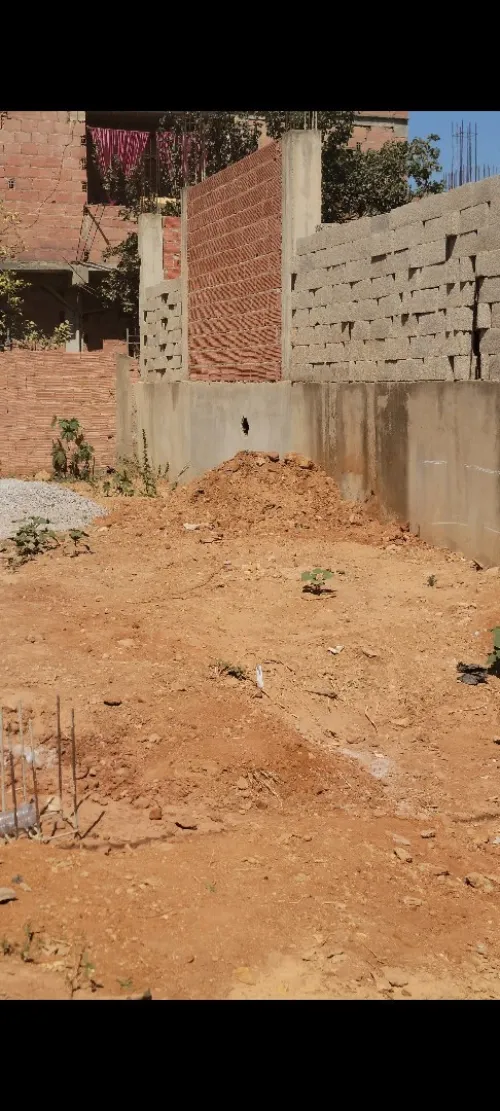 Vente Terrain Alger Saoula