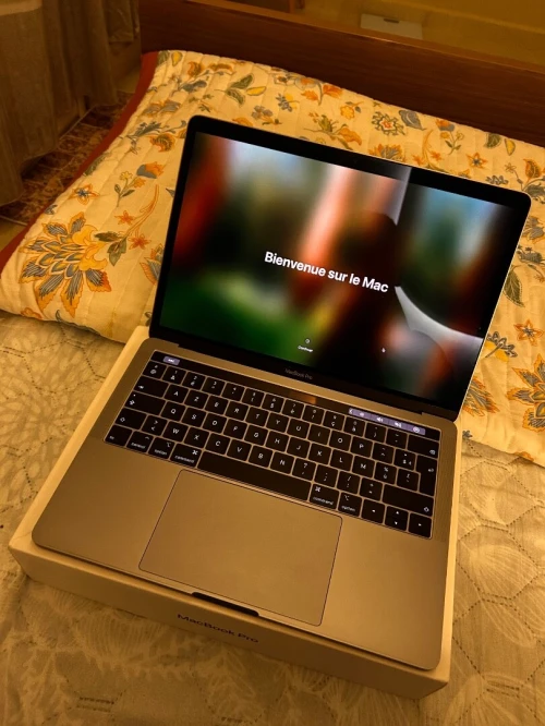 MacBook Pro 13 pouces (modèle 2019-15,4)