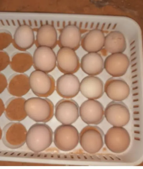بلدية سيدي بختي ولاية تيارت