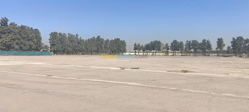Location Terrain Alger Alger centre