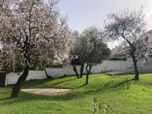 Location Villa Alger Kouba
