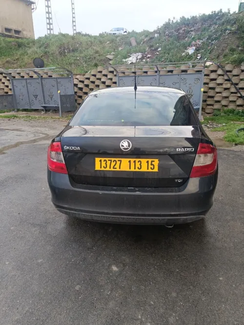 Skoda Rapid 2013 Rapid
