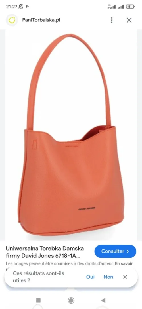 Sac à main David Jones original