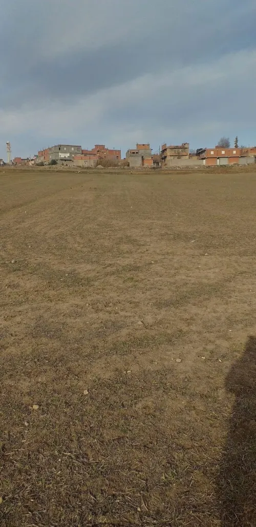 Vente Terrain Agricole Sétif Ain arnat