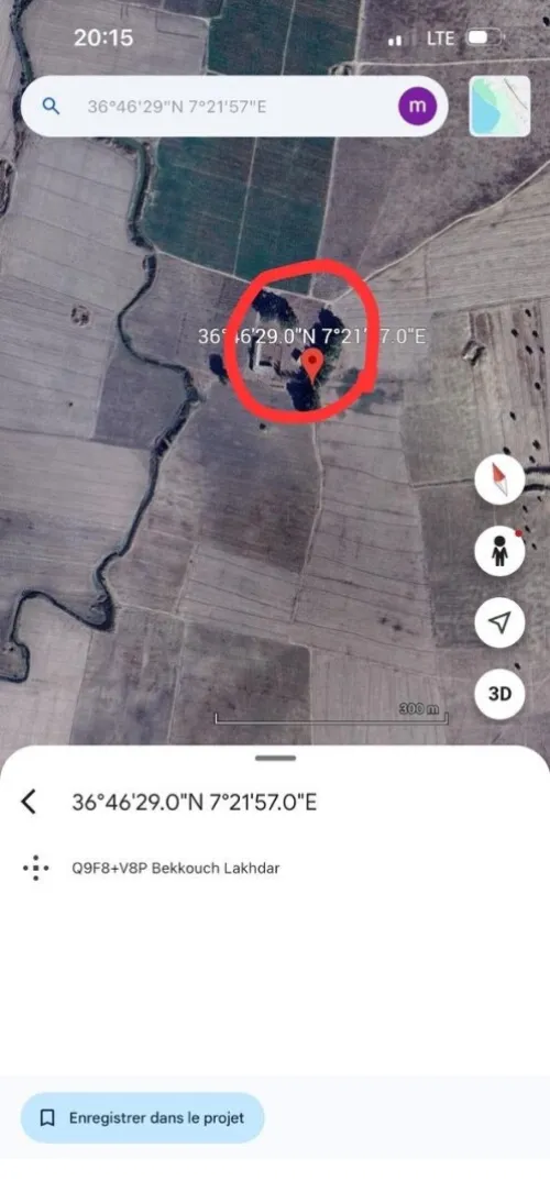Vente Terrain Agricole Skikda Azzaba