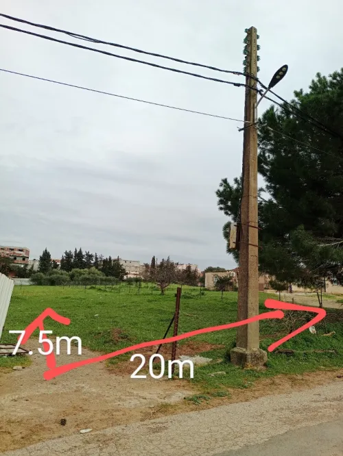 Vente Terrain Alger Ouled fayet