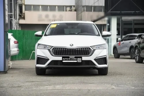 Skoda OCTAVIA 2025 pro
