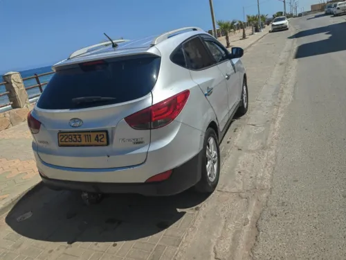 Hyundai Tucson 2011 Tucson