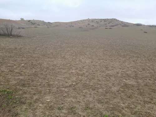 Vente Terrain Agricole Tiaret Sidi hosni