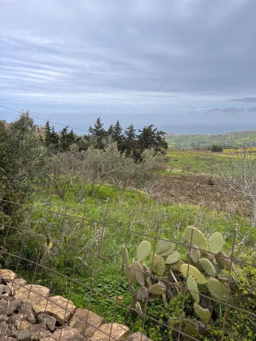 Vente Terrain Agricole Boumerdès Dellys