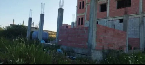 Vente Terrain Skikda Cheraia
