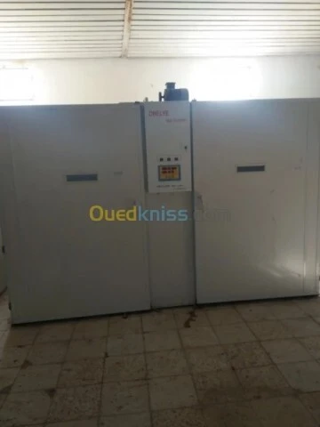 Vente Terrain Agricole Guelma Nechmaya