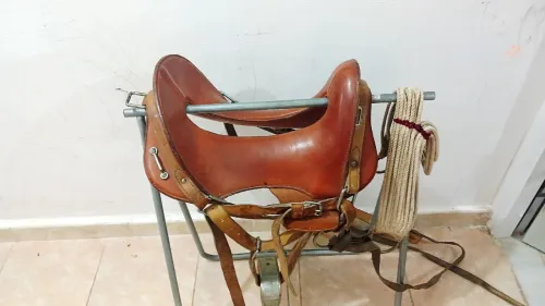 Selle de cheval سرج