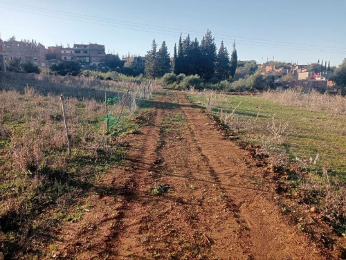 Vente Terrain Boumerdès Ammal
