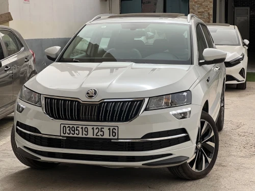 Skoda Karoq 2025 