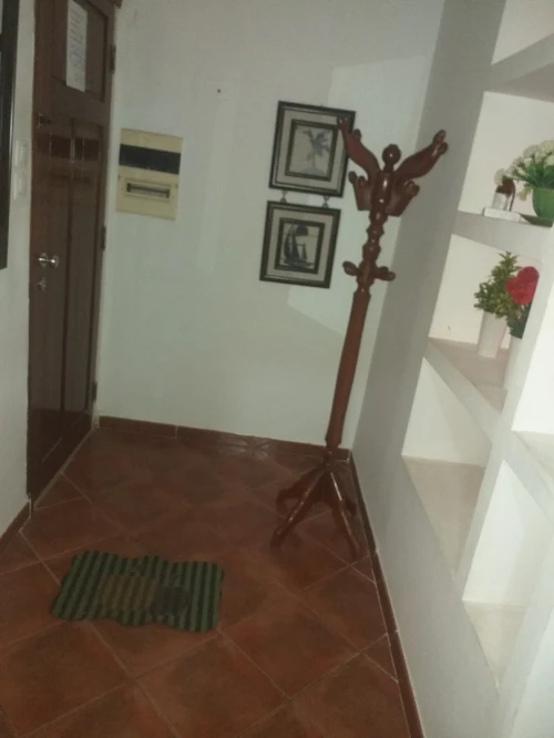 Location Appartement F1 Alger Alger centre