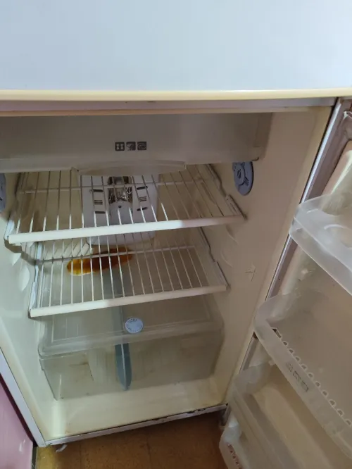frigo