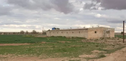 Vente Terrain Djelfa Ain oussara