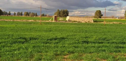 Vente Terrain Djelfa Ain oussara