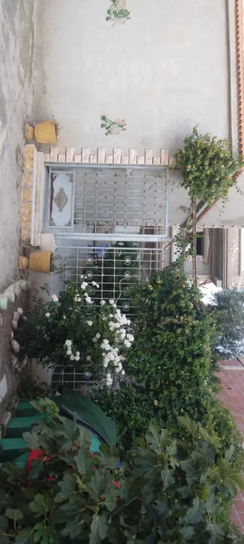 Vente Villa Constantine Hamma bouziane