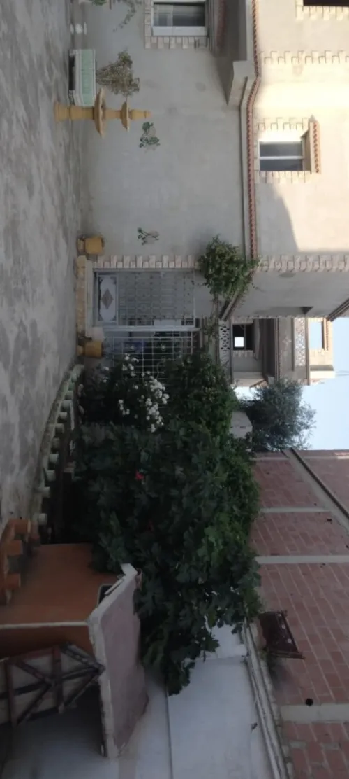 Vente Villa Constantine Hamma bouziane