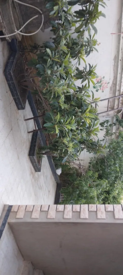 Vente Villa Constantine Hamma bouziane