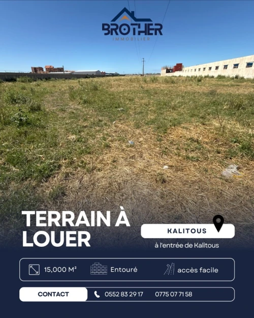 Location Terrain Alger Les eucalyptus