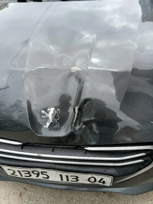 Peugeot 301 2013 Access