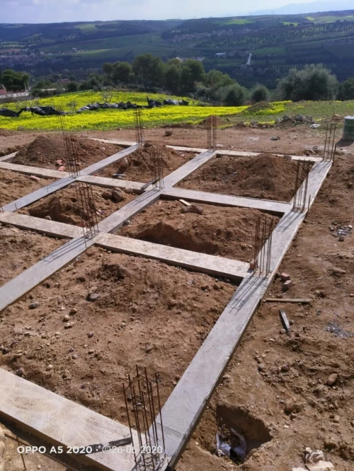 Vente Terrain Tipaza Nador