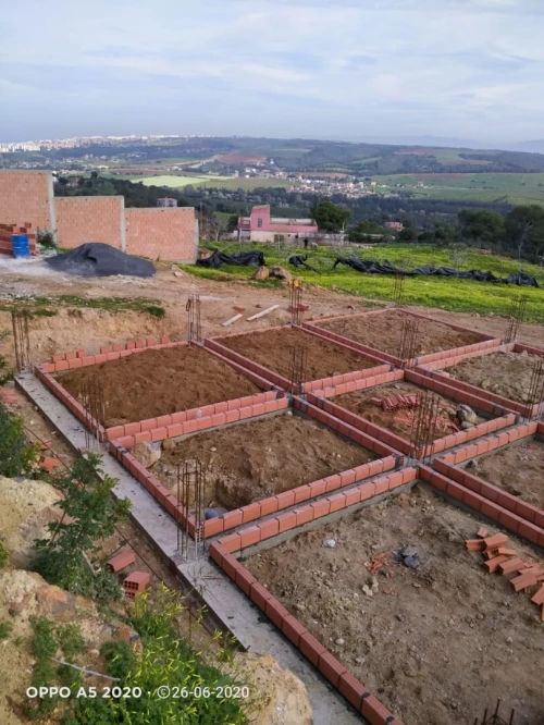 Vente Terrain Tipaza Nador
