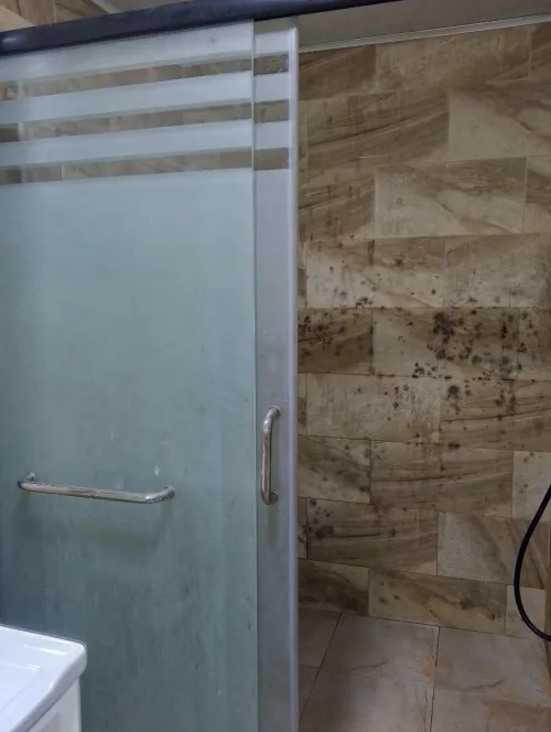 Vente Appartement F4 Alger Bordj el bahri