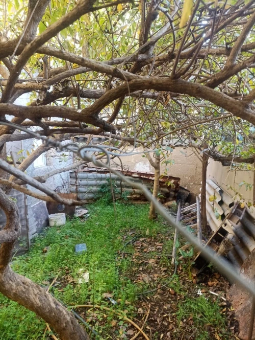 Vente Villa Alger Hraoua